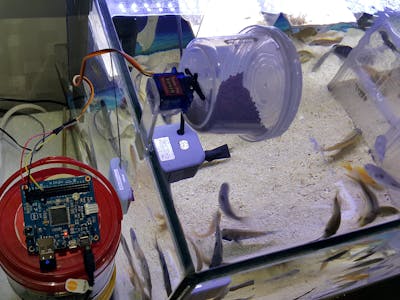 Feeding Fish Remotely by a PHPoC Blue