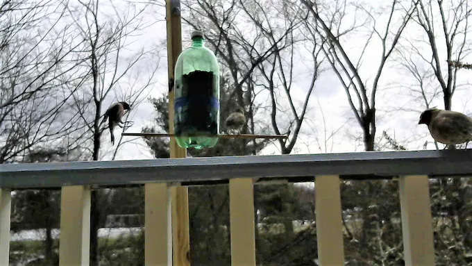 Complete Arduino & Intel Edison Starter Kit with Sensors, Webcam, and Essential Accessories