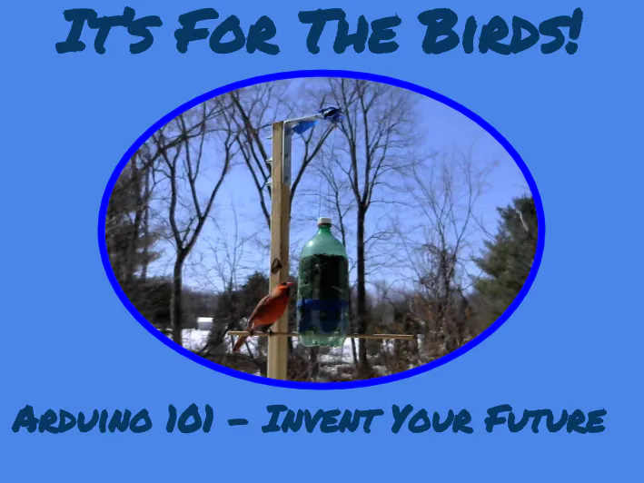 “It’s For The Birds!” 