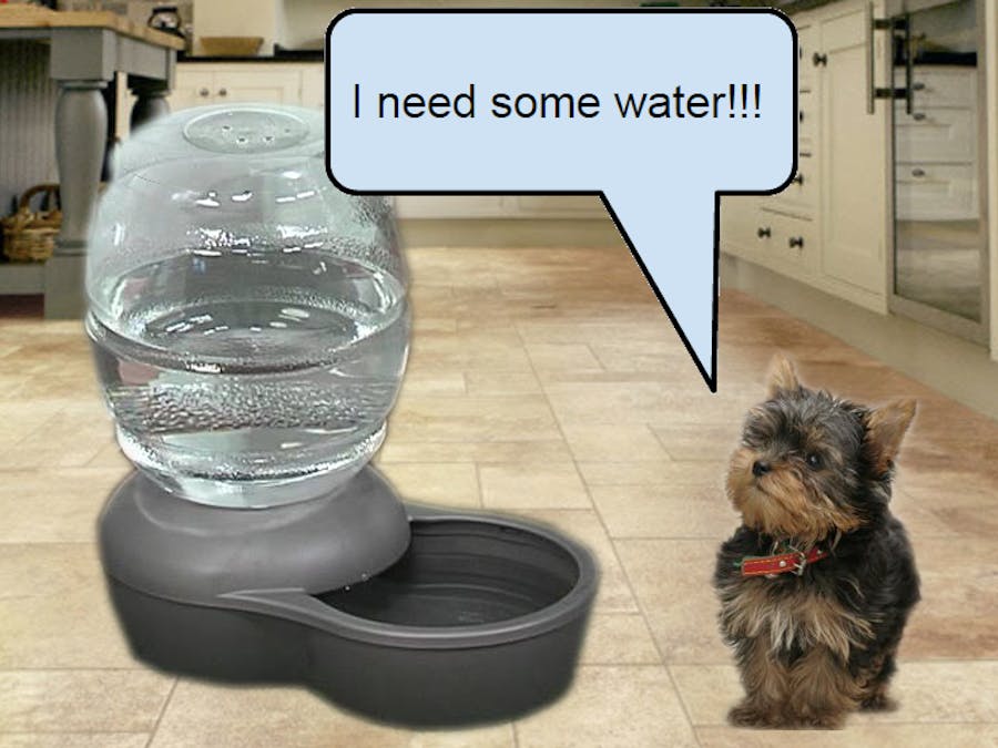 AquaNiner Pet Hydration Monitor