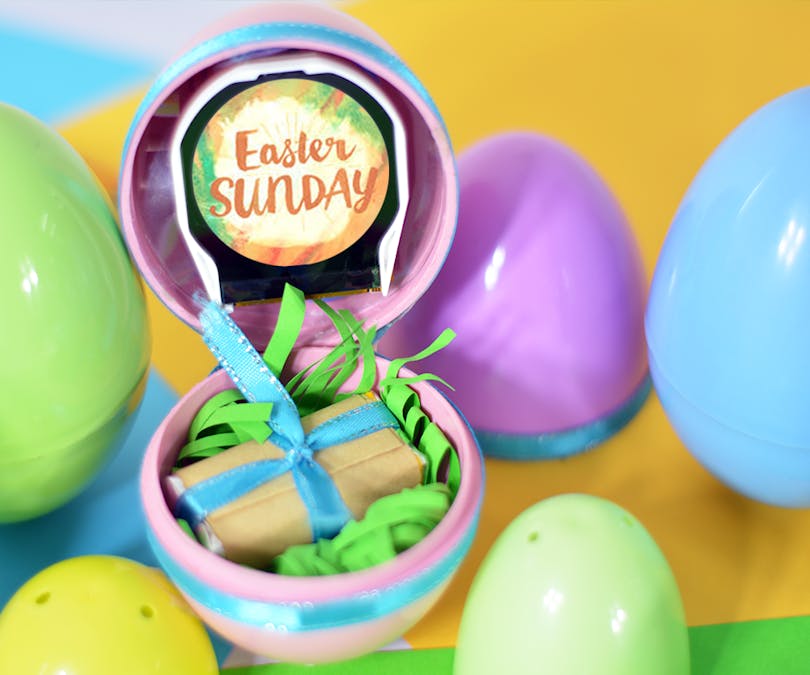 Easter Bunny’s Surprise