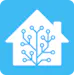 Home Assistant