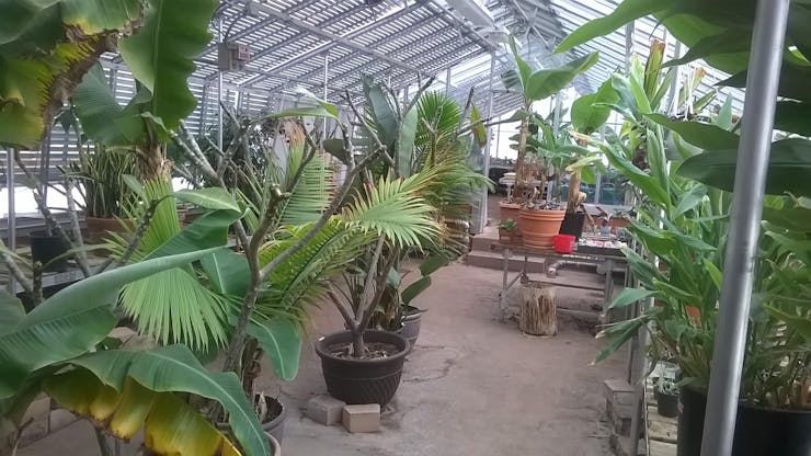 Greenhouse