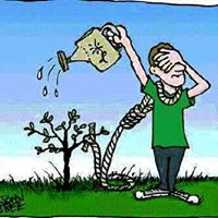 Abubakar Saleh Usman