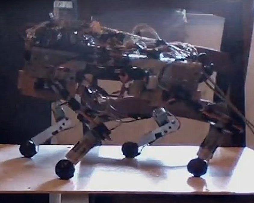 JQR Quadruped Autonomous Robot ** UPDATE 25/NOVEMBER/2019 **