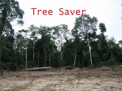 Tree Saver - A Real Time Logging Detection