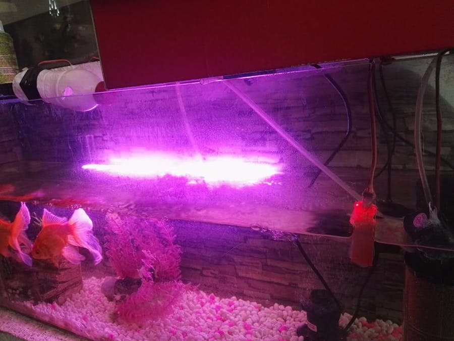 Aquarium Controlling and Monitoring Using Arduino + 1Sheeld