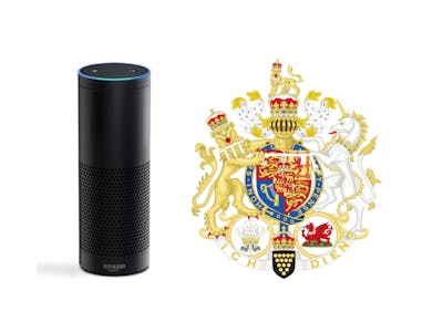 Parliament Election Support from your Alexa