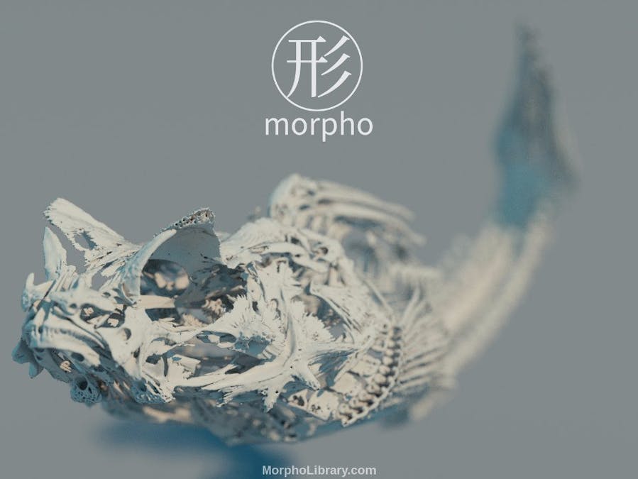 World's First 3D Crystal Engraving with MRI/CT Scan