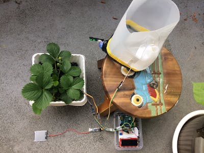 An Urban Plant Watering Solution
