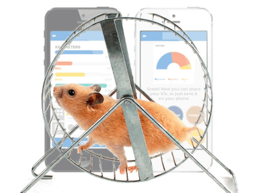 FitBit for your Hamster