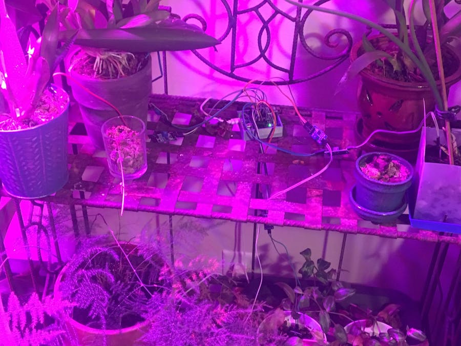 Orchid/Plant Moisture Monitor