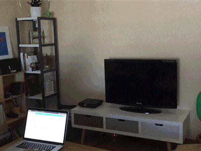 Welcome To My Living Room (IR + 433MHz + RGB LED Strips)