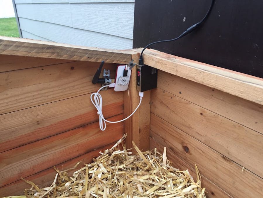 Chicken Coop Livestream