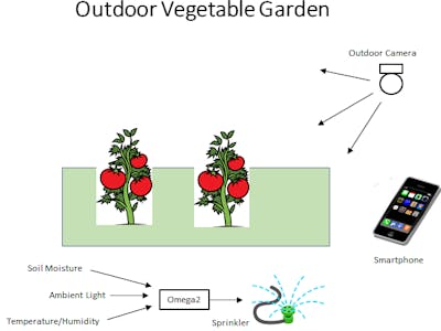 Outdoor Vegetable Garden Monitor and Maintenance Controller