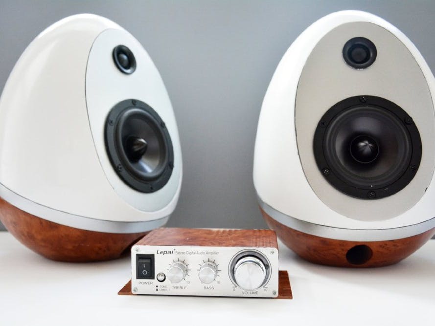 3D Printed Speaker Eggs Build