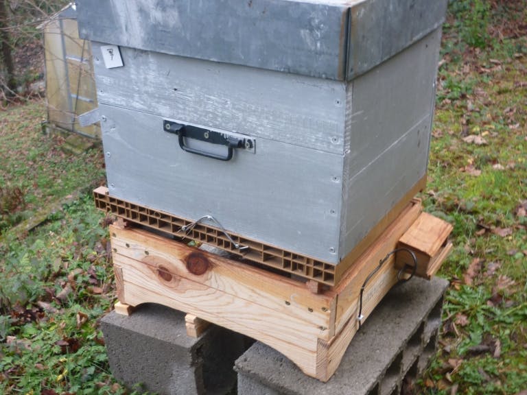 Beehive Monitoring and Tracking
