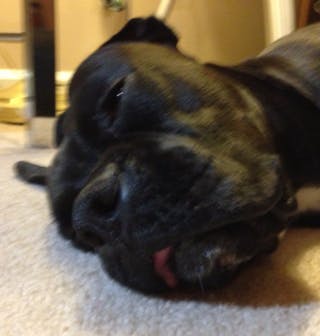 scott p (CH47Driver)