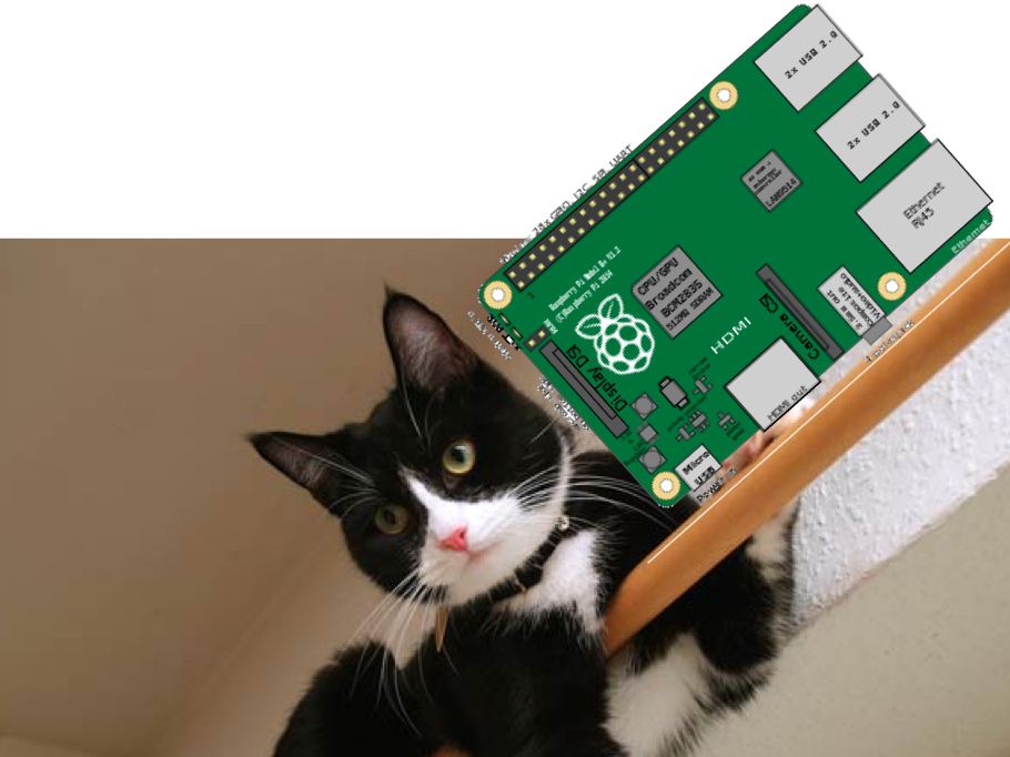 CAT-BOT - Hackster.io