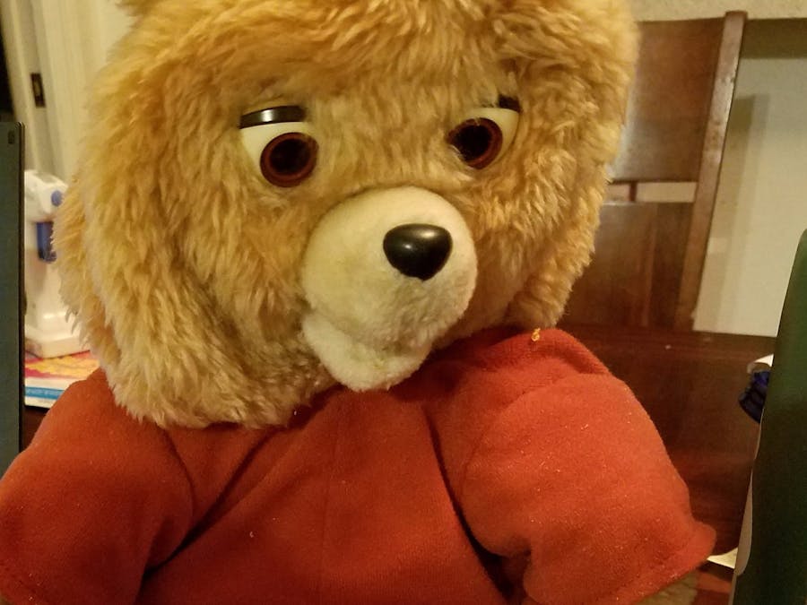 Puppet Mode Teddy Ruxpin