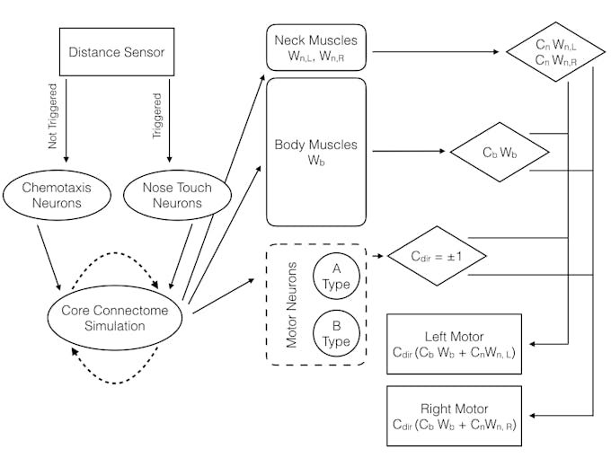 Nematoduino Arduino Project Hub
