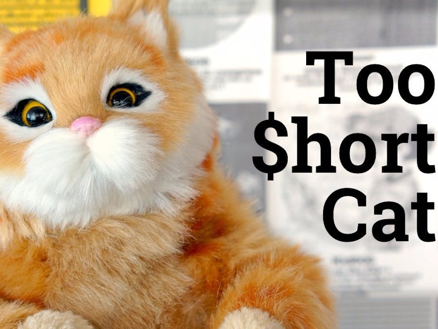 Too $hort Cat