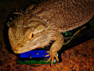 The Dragon Weigher - Arduino Uno Controlled HX711 