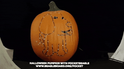 BeagleBoard PocketBeagle Halloween LED Pumpkin