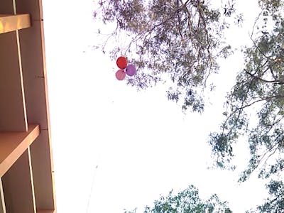 Balloonsonde for City Environment Monitoring 
