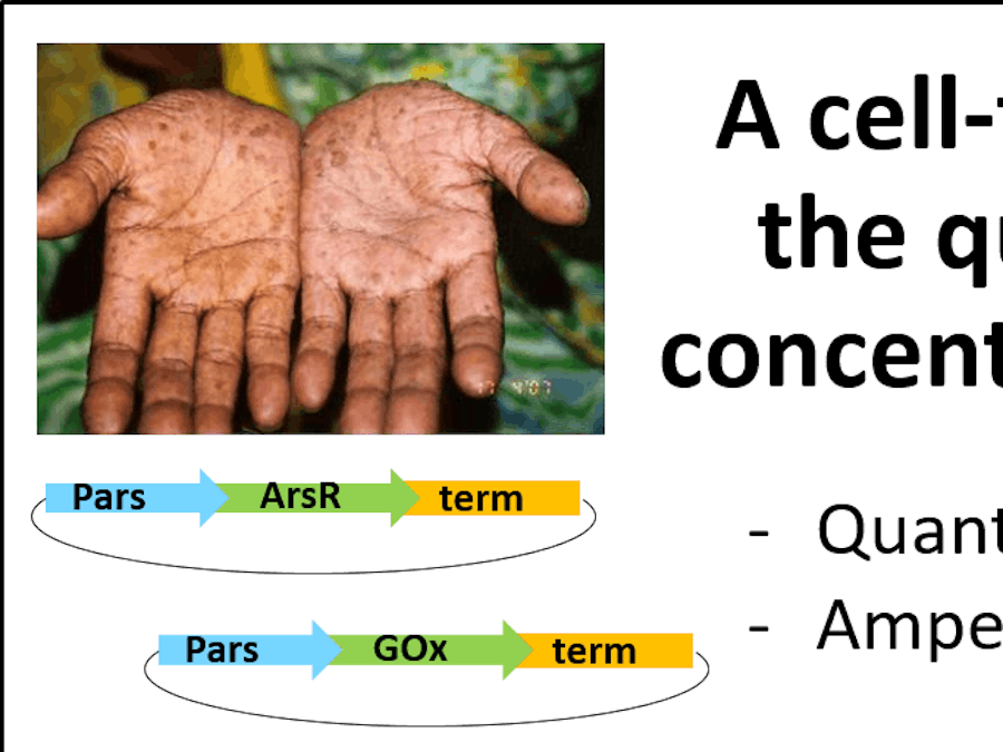 A Cell-free Sensor for Arsenic in Drinking Water