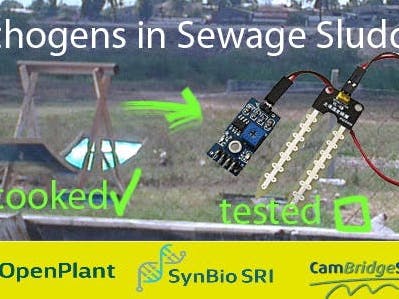 Detecting Pathogens in Sewage Sludge