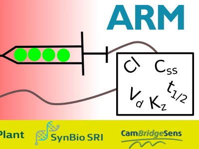 Self-Regulating Drug Delivery