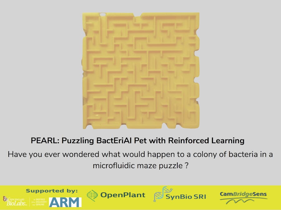 PEARL: Puzzling BactEriAl Pet With Reinforcement Learning