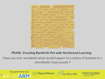 PEARL: Puzzling BactEriAl Pet With Reinforcement Learning