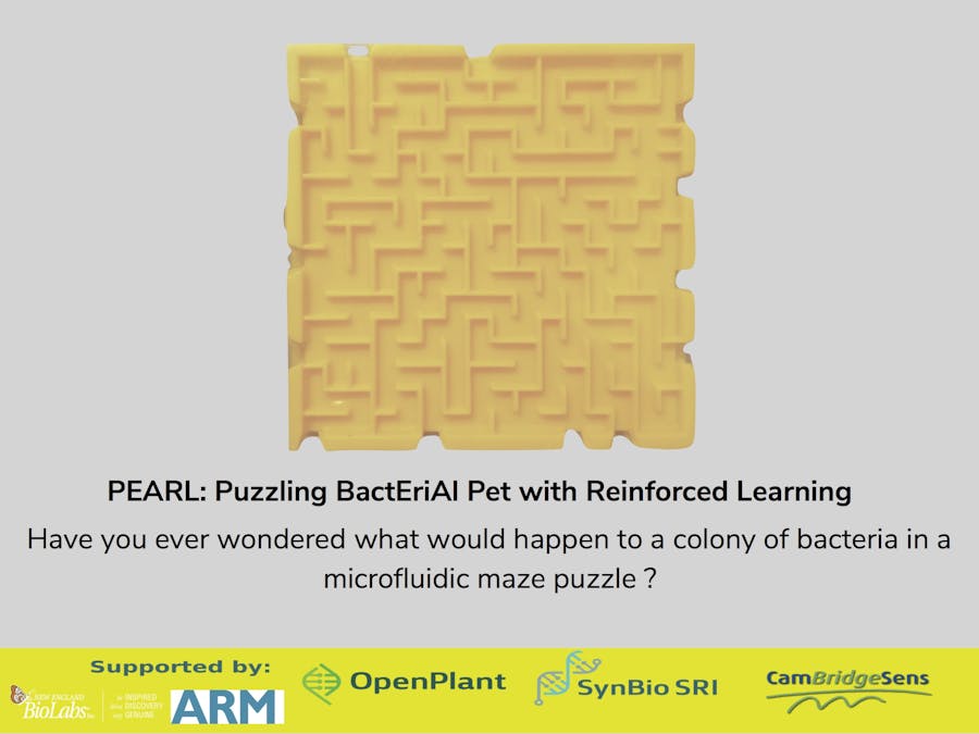 PEARL: Puzzling BactEriAl Pet With Reinforcement Learning
