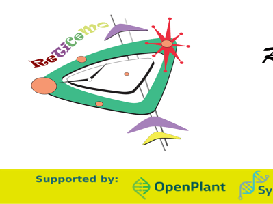 ReTiCeMo - Real-Time Monitoring Of Cell Proliferation