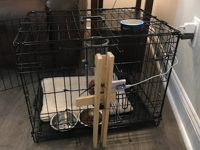 Alexa: The Dog Feeder