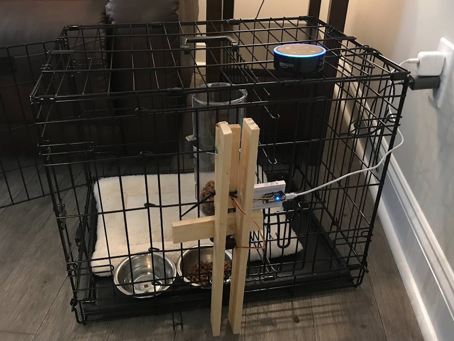 Alexa: The Dog Feeder