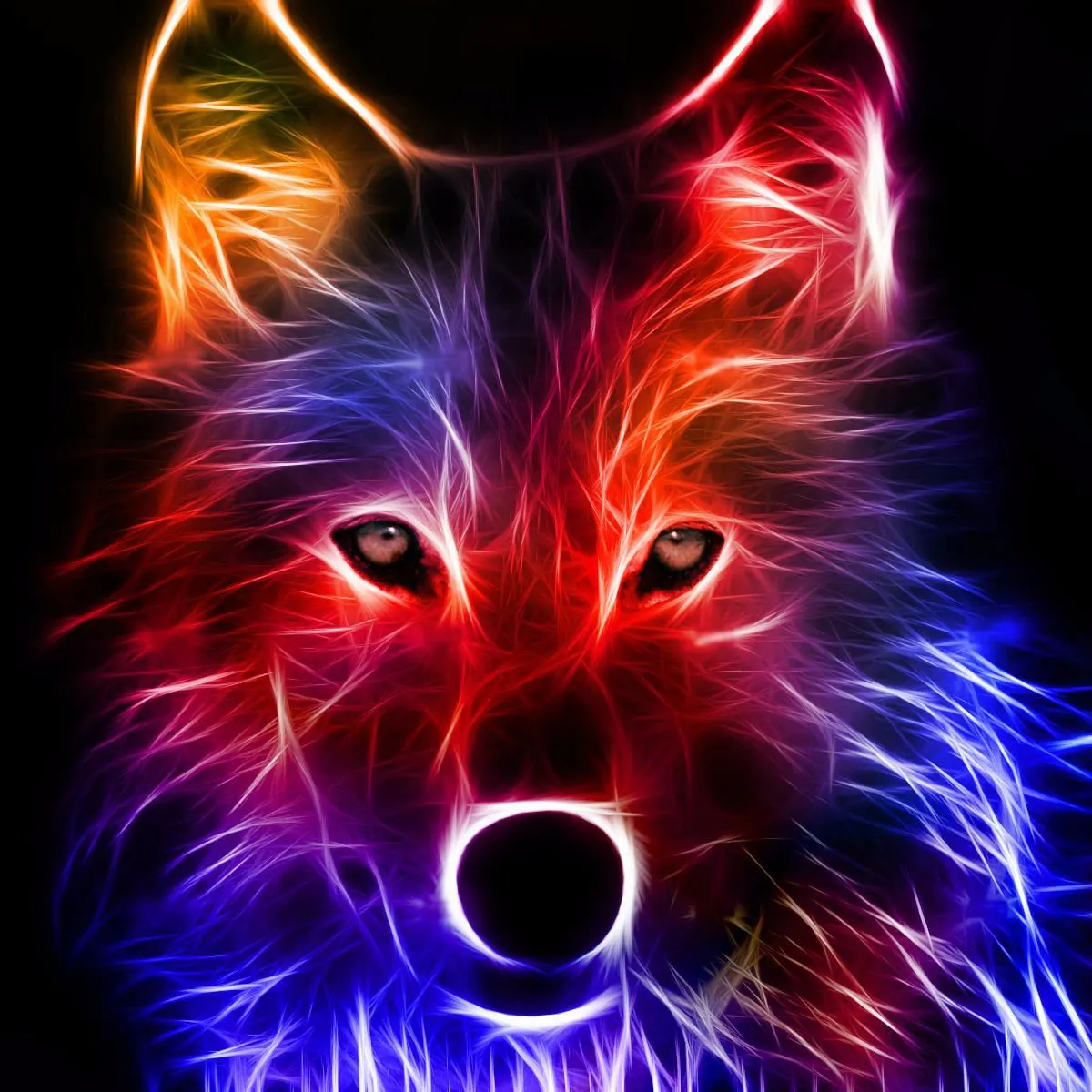 Hackster profile picture for @swet