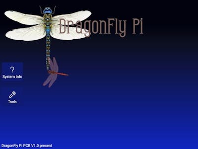 DragonFly Pi