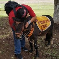 Guillermo Trujillo Fuentes