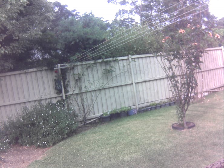 Aussie backyard