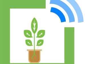 IoT Cube For Greenhouse