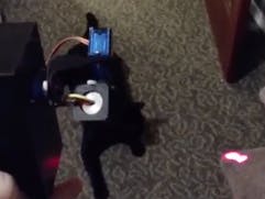 Feline Exercise and Entertainment Device