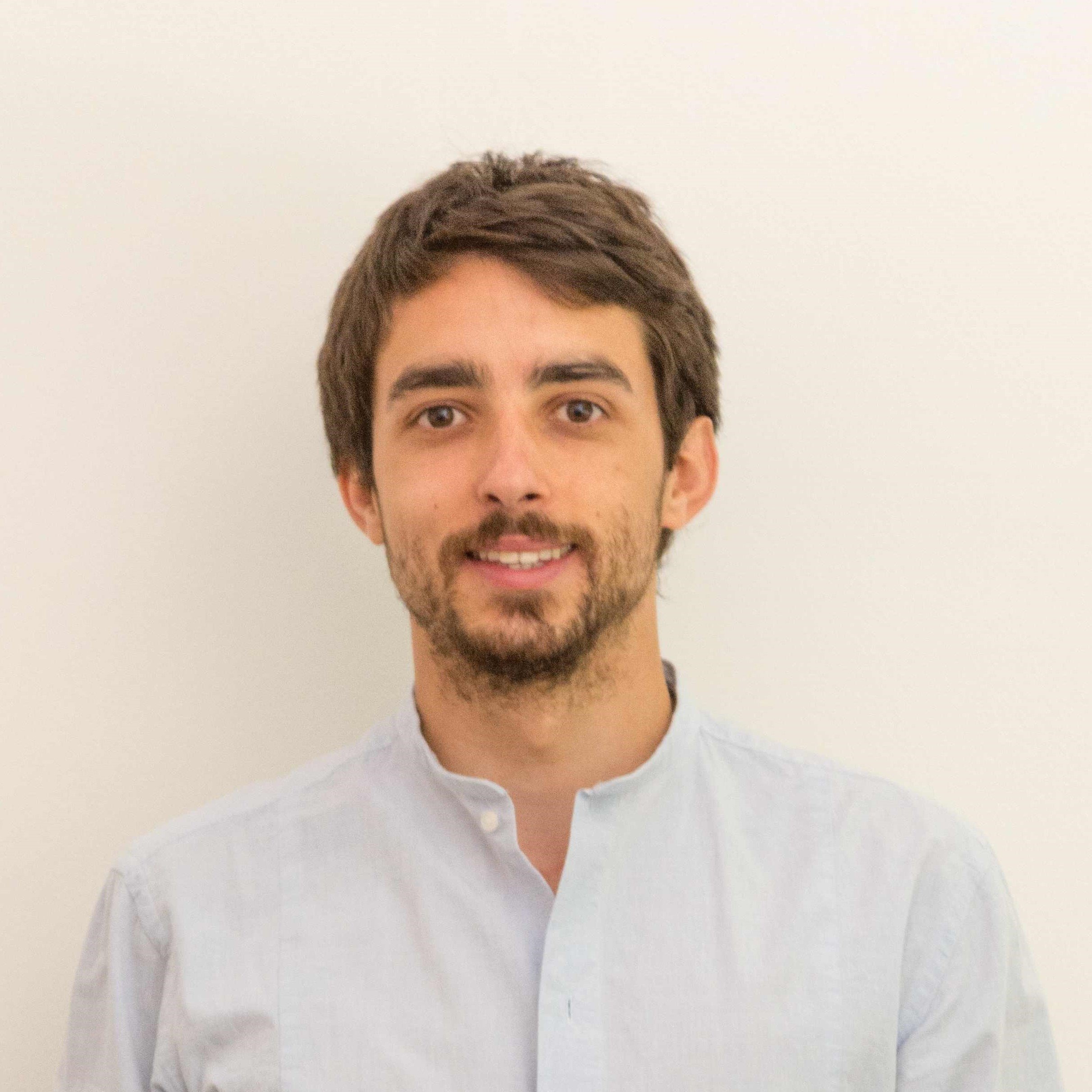 Luigi Francesco Cerfeda