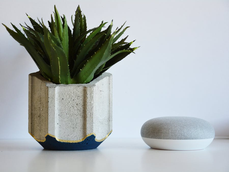 Concrete Planter - 3D Printing Build