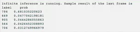 Inference Output