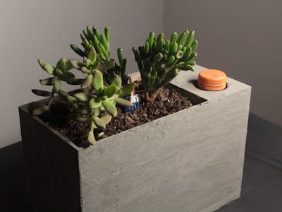 Sprout: Modern Indoor Self Watering Planter