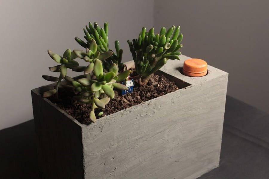 Sprout: Modern Indoor Self Watering Planter