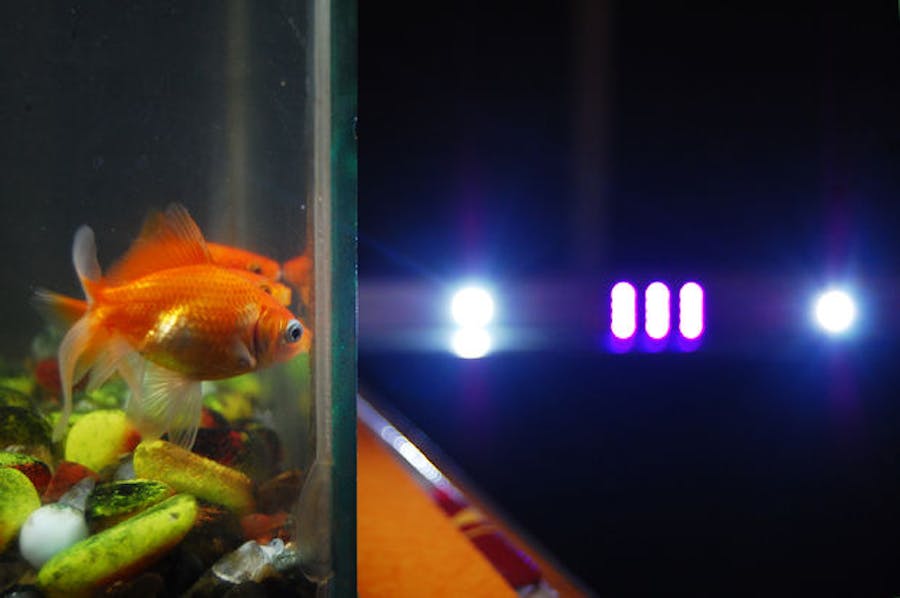 Automated LED Lighting for Planted Aquarium